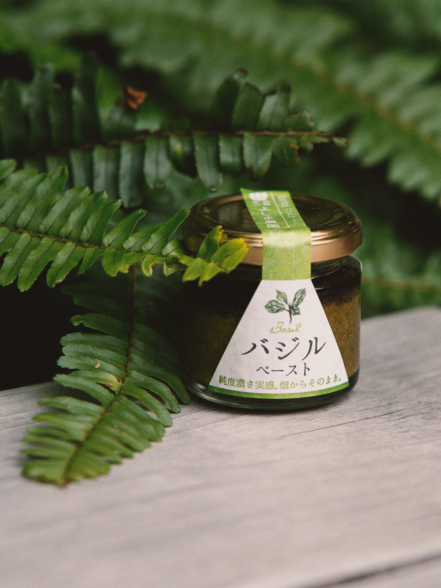 自然栽培(無農薬)バジルペースト