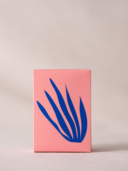 SANアソートボックス 【ブレンド】